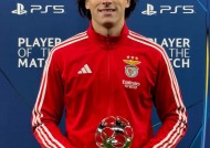 真人娱乐-关于里程碑夜葡萄牙体育主帅复盘，德甲加时末段刷纪录，更衣室稳定，临场指挥获称赞的信息